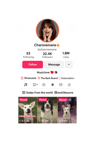 Buy TikTok Followers — real and active accounts